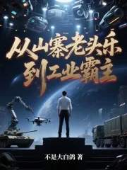 《从山寨老头乐,到工业霸主》小说封面