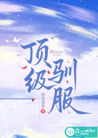 《顶级驯服》小说封面