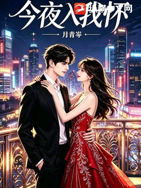 《今夜入我怀》小说封面