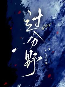 《过分野》小说封面