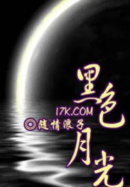 《黑色月光》小说封面
