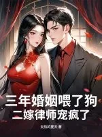 《三年婚姻喂了狗，二嫁律师宠疯了》小说封面