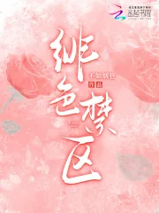 《绯色禁区》小说封面