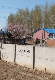 《一村烟雨》小说封面