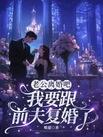 《老公离婚吧，我要跟前夫复婚了》小说封面