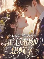 《太太挺孕肚消失，霍总想她想疯了》小说封面