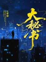 《大秘书》小说封面