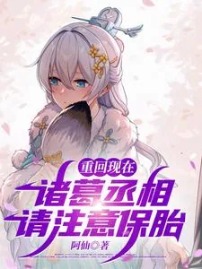 《重回现在：诸葛丞相，请注意保胎》小说封面