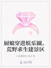 《厨娘穿进娱乐圈，荒野求生建景区》小说封面