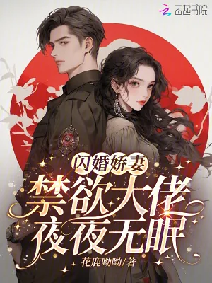 《闪婚娇妻:禁欲大佬夜夜无眠》小说封面