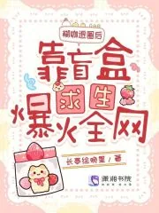 《糊咖退圈后,靠盲盒求生爆火全网》小说封面