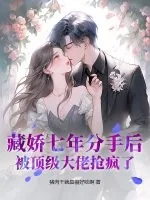 《藏娇七年分手后,被顶级大佬抢疯了》小说封面