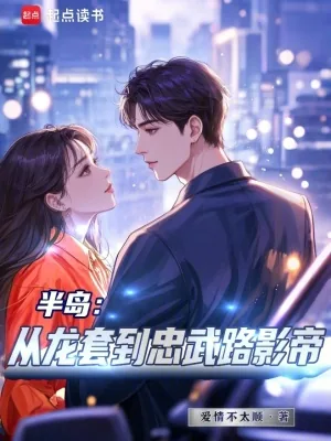 《半岛:从龙套到忠武路影帝》小说封面