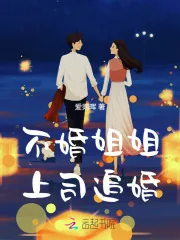 《不婚姐姐，上司追婚》小说封面