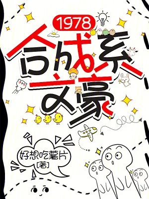 《1978合成系文豪》小说封面