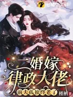 《二婚嫁律政大佬,前夫孤独终老了》小说封面