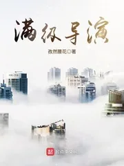 《满级导演》小说封面
