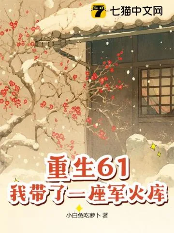 《重生61,我带了一座军火库》小说封面