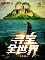 《寻宝全世界》小说封面