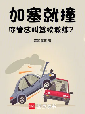 《加塞就撞,你管这叫驾校教练?》小说封面