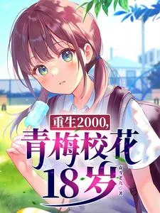 《重生2000,青梅校花18岁》小说封面