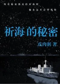 《祈海的秘密》小说封面