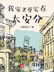 《我家老婆实在太安分》小说封面