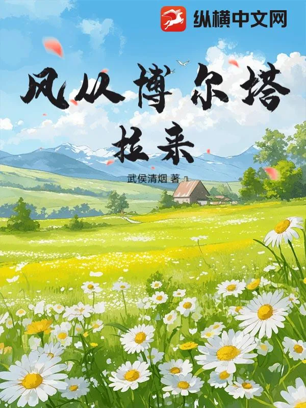 《风从博尔塔拉来》小说封面