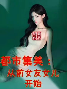 《都市集美：从前女友女儿开始》小说封面