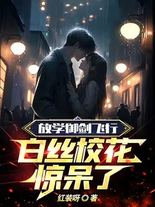 《放学御剑飞行,白丝校花惊呆了》小说封面