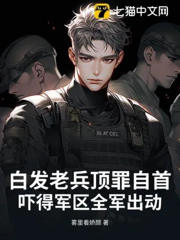 《白发老兵顶罪自首,吓得军区全军出动》小说封面