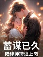 《蓄谋已久,陆律师持证上岗》小说封面