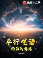 《平行呓语·轮转的意志》小说封面