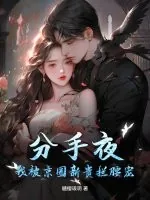 《分手夜,我被京圈新贵拦腰宠!》小说封面