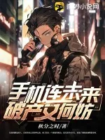 《手机连未来,破产又何妨》小说封面