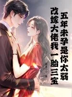 《五年未孕是你太弱，再嫁大佬我一胎三宝》小说封面