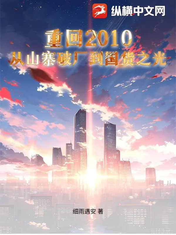 《重回2010:从山寨破厂到国货之光》小说封面