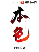 《本色》小说封面