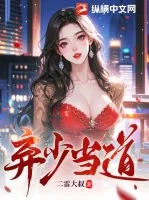 《弃少当道》小说封面