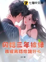 《闪婚三年被绿,我提离婚你跪什么》小说封面