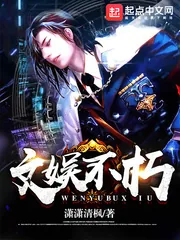 《文娱不朽》小说封面