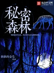 《秘密的森林》小说封面