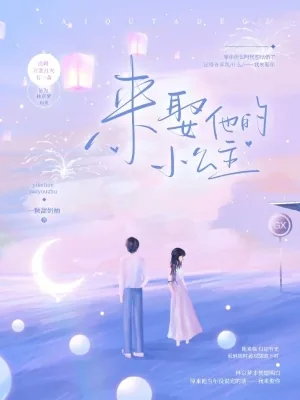 《来娶他的小公主》小说封面