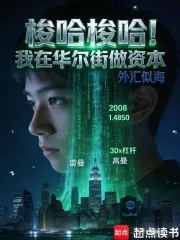 《梭哈梭哈！我在华尔街做资本》小说封面
