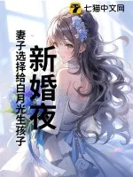 《新婚夜，妻子选择给白月光生孩子》小说封面