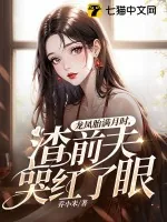《龙凤胎满月时，渣前夫哭红了眼》小说封面