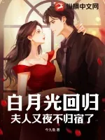《白月光回归,夫人又夜不归宿了》小说封面