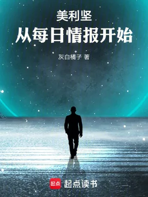 《美利坚:从每日情报开始》小说封面