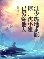 《江少跪地求原谅，沈小姐已另嫁他人》小说封面