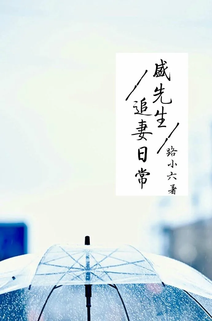 《盛先生追妻日常》小说封面